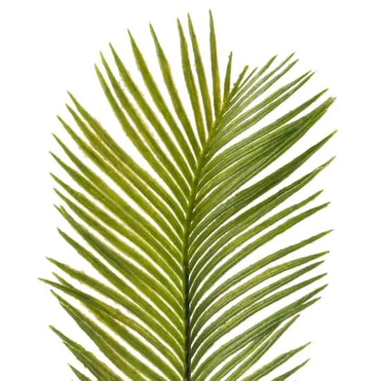 Green Sago Palm Stem by Ashland&reg; {4}