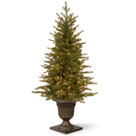 4ft. Pre-Lit Nordic Spruce&reg; Entrance Artificial Christmas Tree, Clear Lights {1}