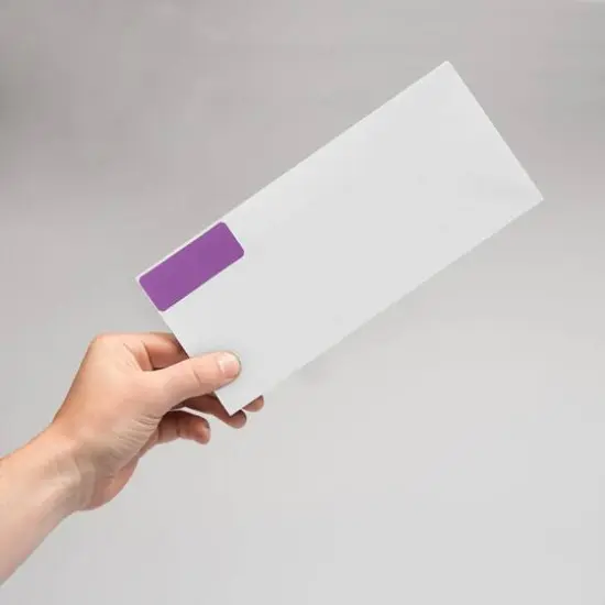 JAM Paper Standard Mailing Return Address Labels Violet {7}