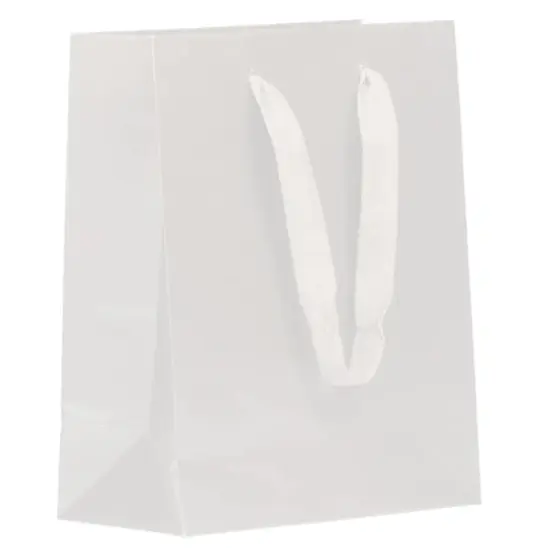 JAM Paper Medium White Matte Heavy Duty Kraft Gift Bags, 10ct. {1}