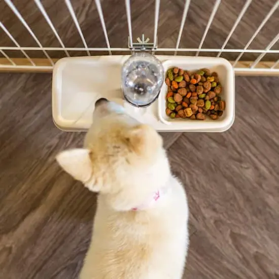 Iris&reg; Beige Pet Crate Water Feeder {4}