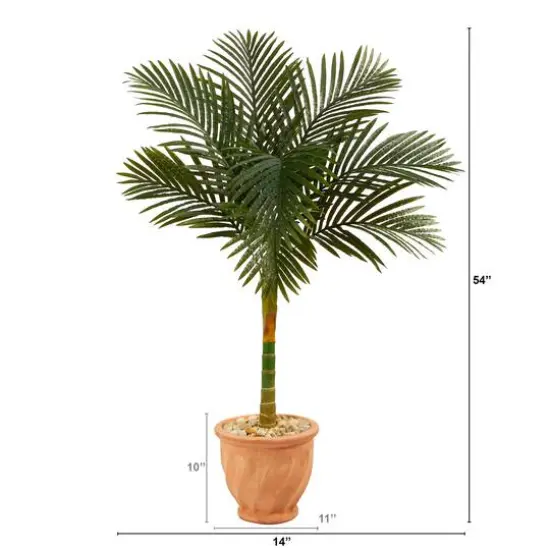 4.5ft. Golden Cane Palm Tree in Terra-Cotta Planter {3}