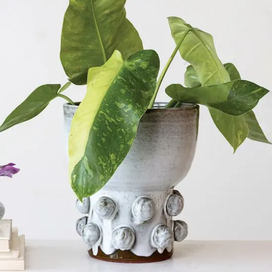 Hello Honey&reg; 12.25" White Terra Cotta Footed Vase with Raised Dots & Reactive Glaze {4}