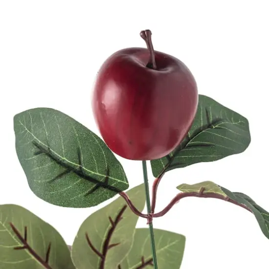 Red Apple Bush by Ashland&reg; {4}