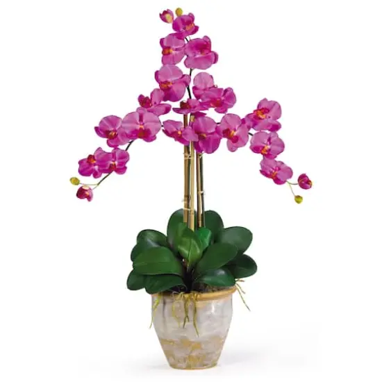 Triple Phalaenopsis Orchid Flower Arrangement In Ceramic Vase {1}