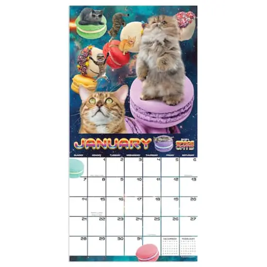 TF Publishing 2024 Space Cats Mini Calendar {4}