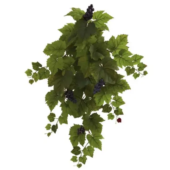 Grape Leaf Hanging Plant, 2ct. {1}