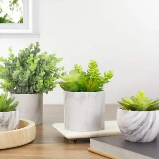 6.5" Green Succulent Arrangement in Faux Marble Pot {3}