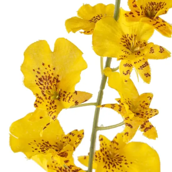 Yellow Dancing Orchid by Ashland&reg; {3}