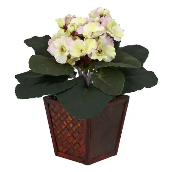 10" African Violet In Planter Set {3}