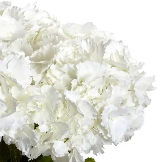 23" White Large Hydrangea Silk Flower Arrangement in Vase {3}
