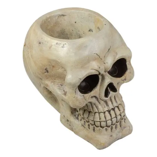 9" Ivory & Black Halloween Skull Tabletop D&eacute;cor {5}