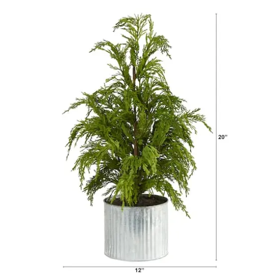 20" Unlit Cedar Pine Artificial Potted Christmas Tree {3}