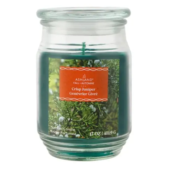 17oz. Fall Scented Jar Candle by Ashland&reg; Crisp Juniper {1}