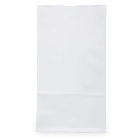 JAM Paper White Small Plus Kraft Lunch Bags, 500ct. {3}