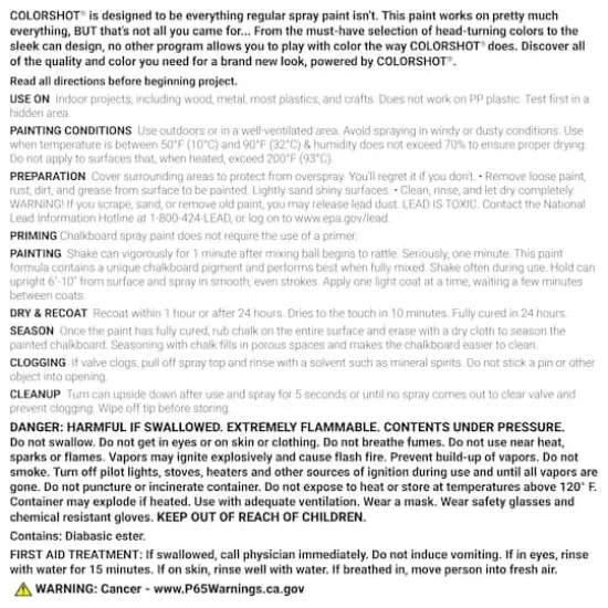 COLORSHOT&reg; 10oz. Black Chalkboard Spray Paint {5}
