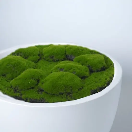 12" Faux Moss Bumpy Mat by Ashland&reg; {4}