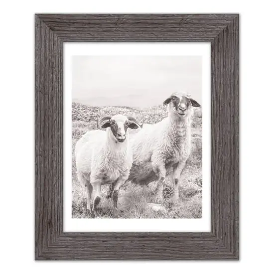 Sheep on Hill Western Framed Print Gray {1}