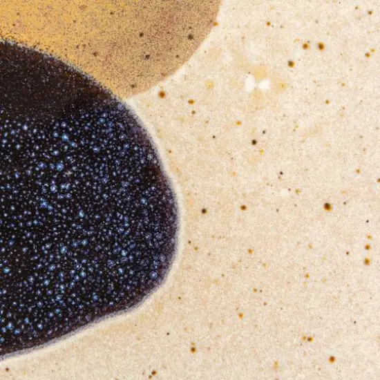 Hello Honey&reg; 7.75" Earthen Hues Stoneware Plates, 4ct. {9}