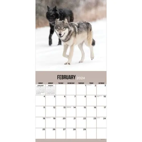 TF Publishing 2024 Wolves Wall Calendar {4}