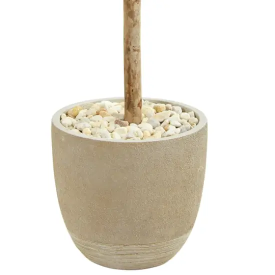 5ft. Olive Topiary Tree in Sand Stone Planter {4}