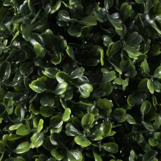 4ft. Potted Boxwood Cone {5}