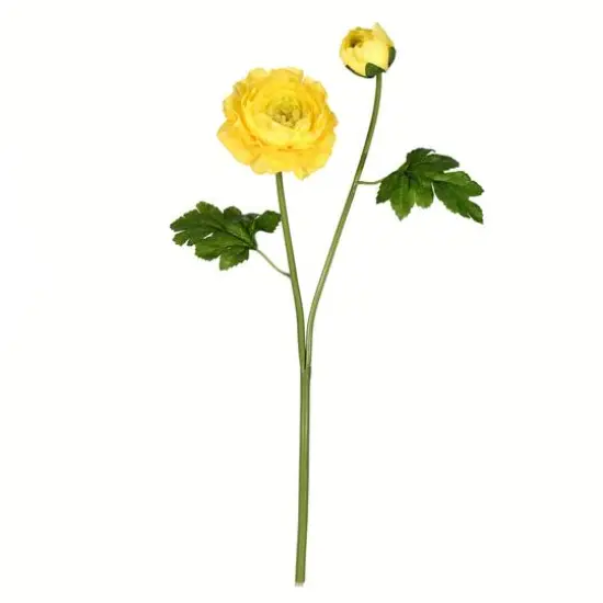 Yellow Ranunculus Stem, 6ct. {1}
