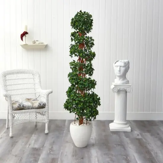 5.8ft. English Ivy Spiral Topiary in White Planter {4}