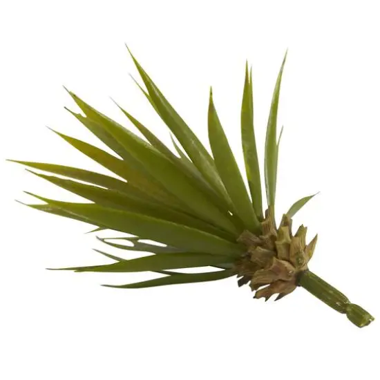 Spiky Agave Succulent Pick, 12ct.  {6}