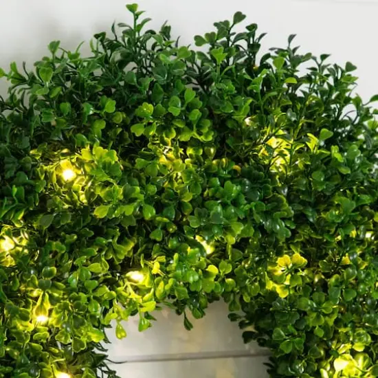 18in. Pre-Lit Artificial Boxwood Wreath with 25 Warm White LED Lights {6}
