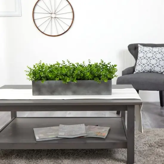 9" Potted Eucalyptus Plant {5}