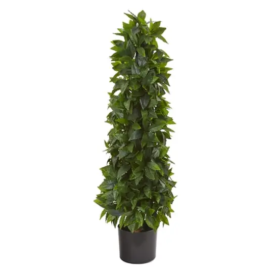 3ft. Potted Sweet Bay Cone Topiary Tree {1}