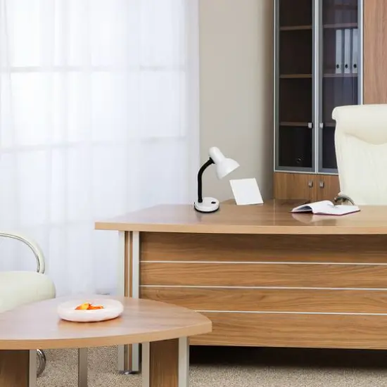 Simple Designs 14.5" Basic Metal Desk Lamp with Flexible Hose Neck White {4}