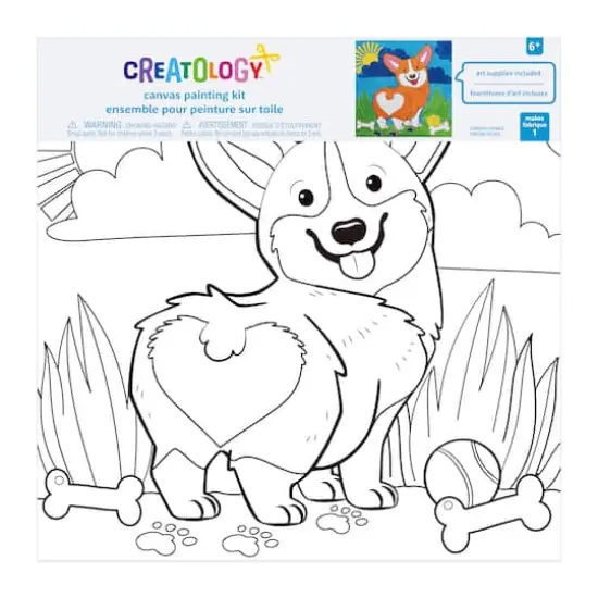 Assorted Canvas Paint Set by Creatology&trade; {6}