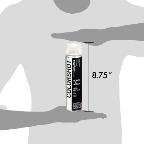 COLORSHOT&reg; Premium Satin Spray Paint Black Tie Affair {8}