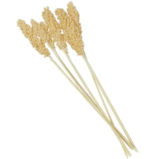 Dried Corn Maize Natural Foliage with Long Stems Cream {4}