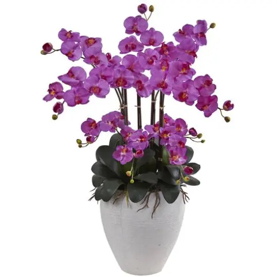 3ft. Moth Orchid Arrangement in White Planter {1}