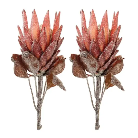 29.25" Red Protea Flower Stems, 2ct. {1}