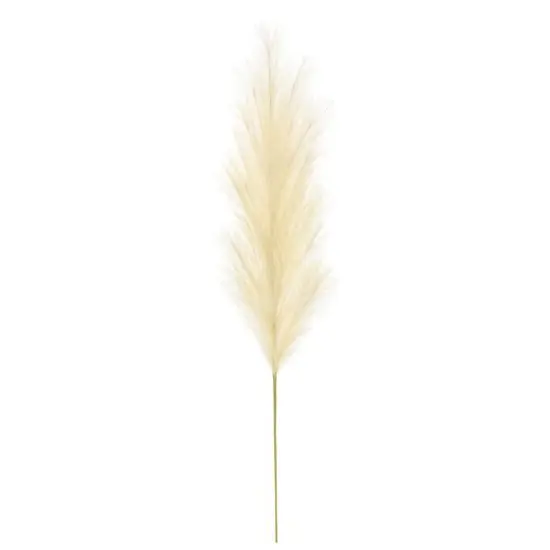 5ft. Cream Pampas Grass Stem by Ashland&reg; {1}