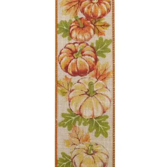 Reliant 2.5" x 10yd. Faux Linen Wired Sparkle Pumpkin Highlights Ribbon {4}
