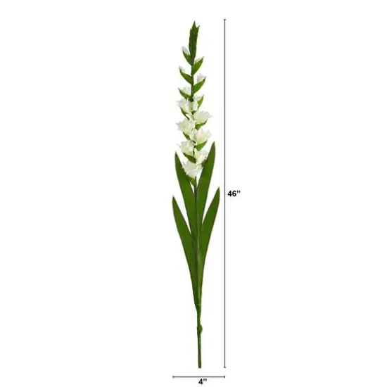 White Gladiolus Flower Stems, 3ct. {3}