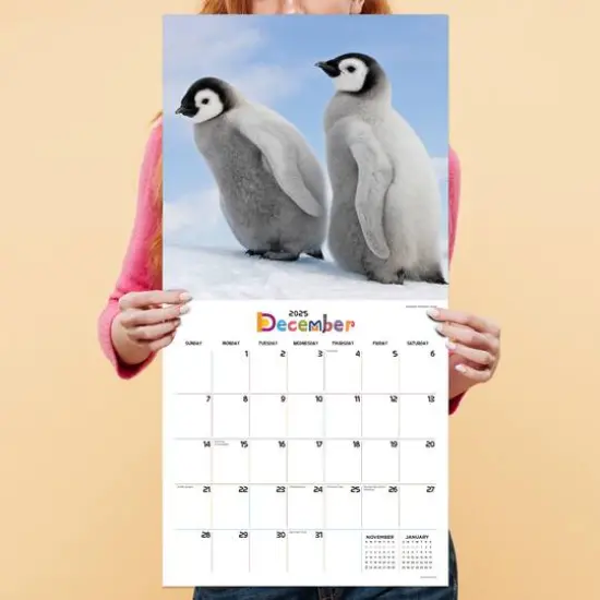 TF Publishing 2025 Baby Animals Wall Calendar {4}