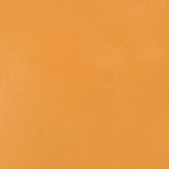 Liquitex&reg; Professional 2oz. Heavy Body Acrylic Paint 601 Naples Yellow Hue {6}