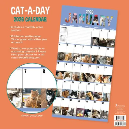 2026 Cat-A-Day Wall Calendar {6}
