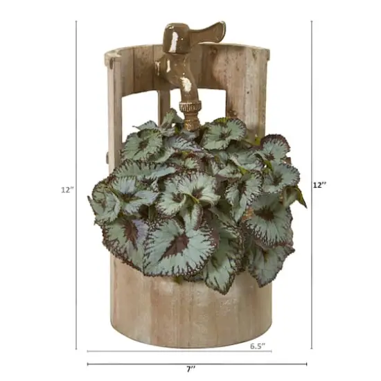 12" Rex Begonia in Faucet Planter {3}