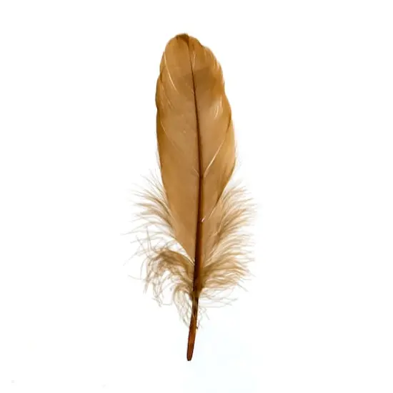 John Bead 5"-7" Goose Feathers Brown {1}