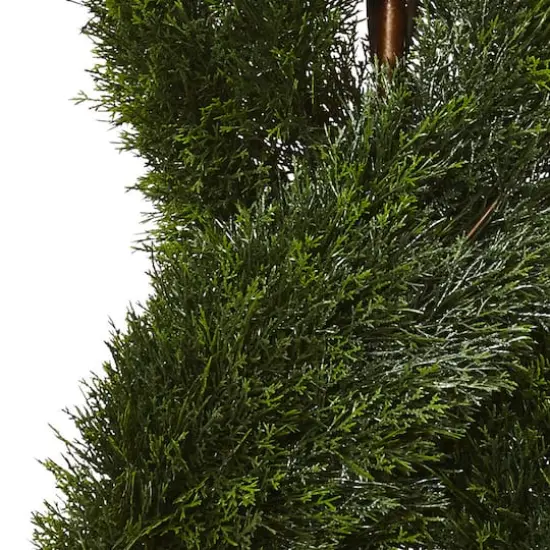 5ft. Potted Double Pond Cypress Spiral Topiary Tree {3}