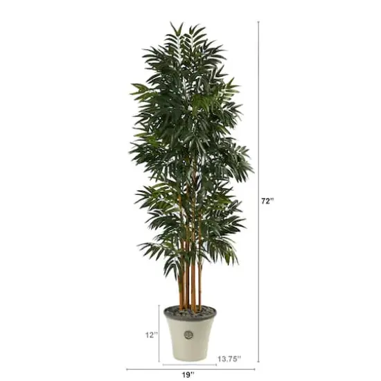 6ft. Phoenix Palm Tree in Decorative Planter {3}