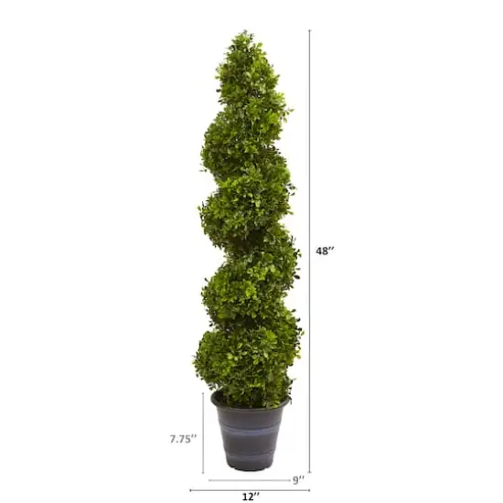 4ft. Boxwood Spiral Topiary in Planter {4}