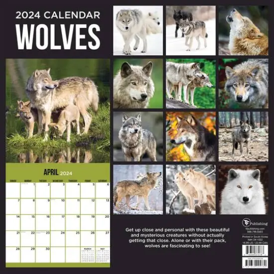 TF Publishing 2024 Wolves Wall Calendar {3}